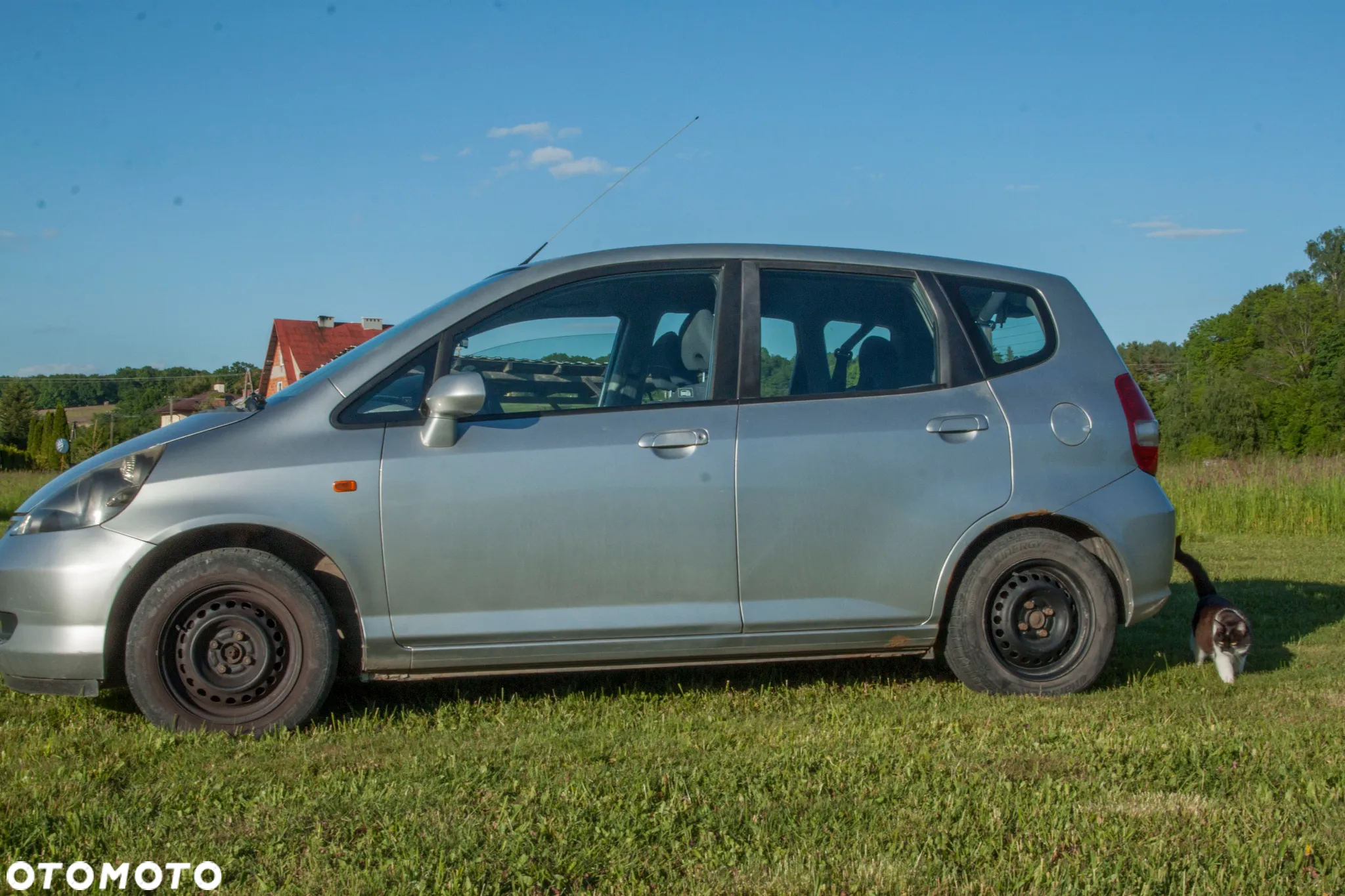 Honda Jazz - 4