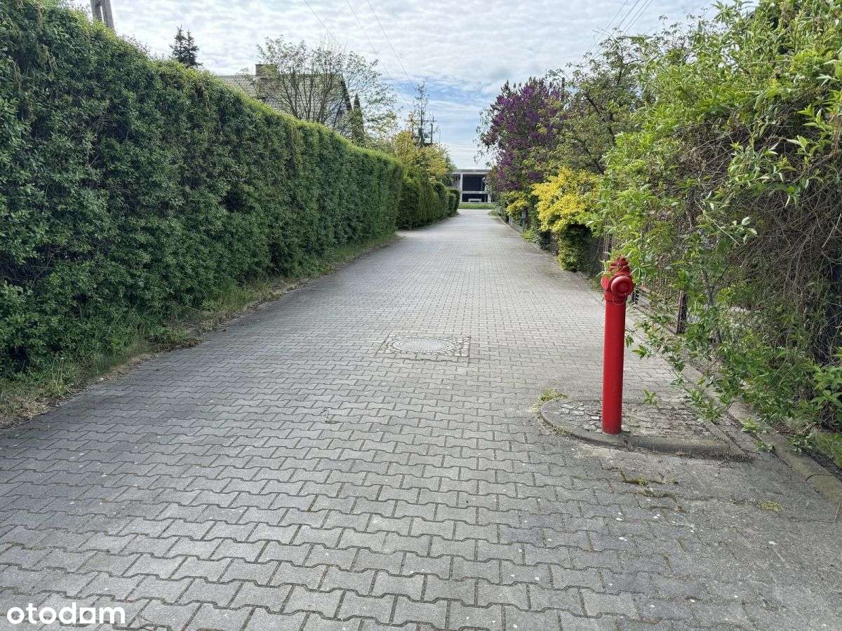 działka 8500m2 Długołęka-16