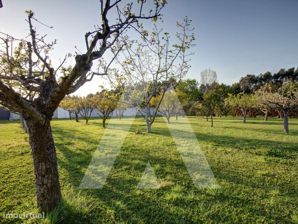 Moradia T4 de Luxo em Oliveira do Bairro-49