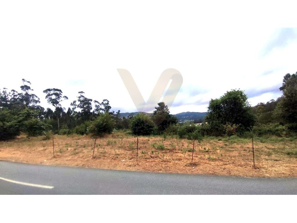 Terreno para construção | Poiares, Ponte de Lima - Grande imagem: 4/5