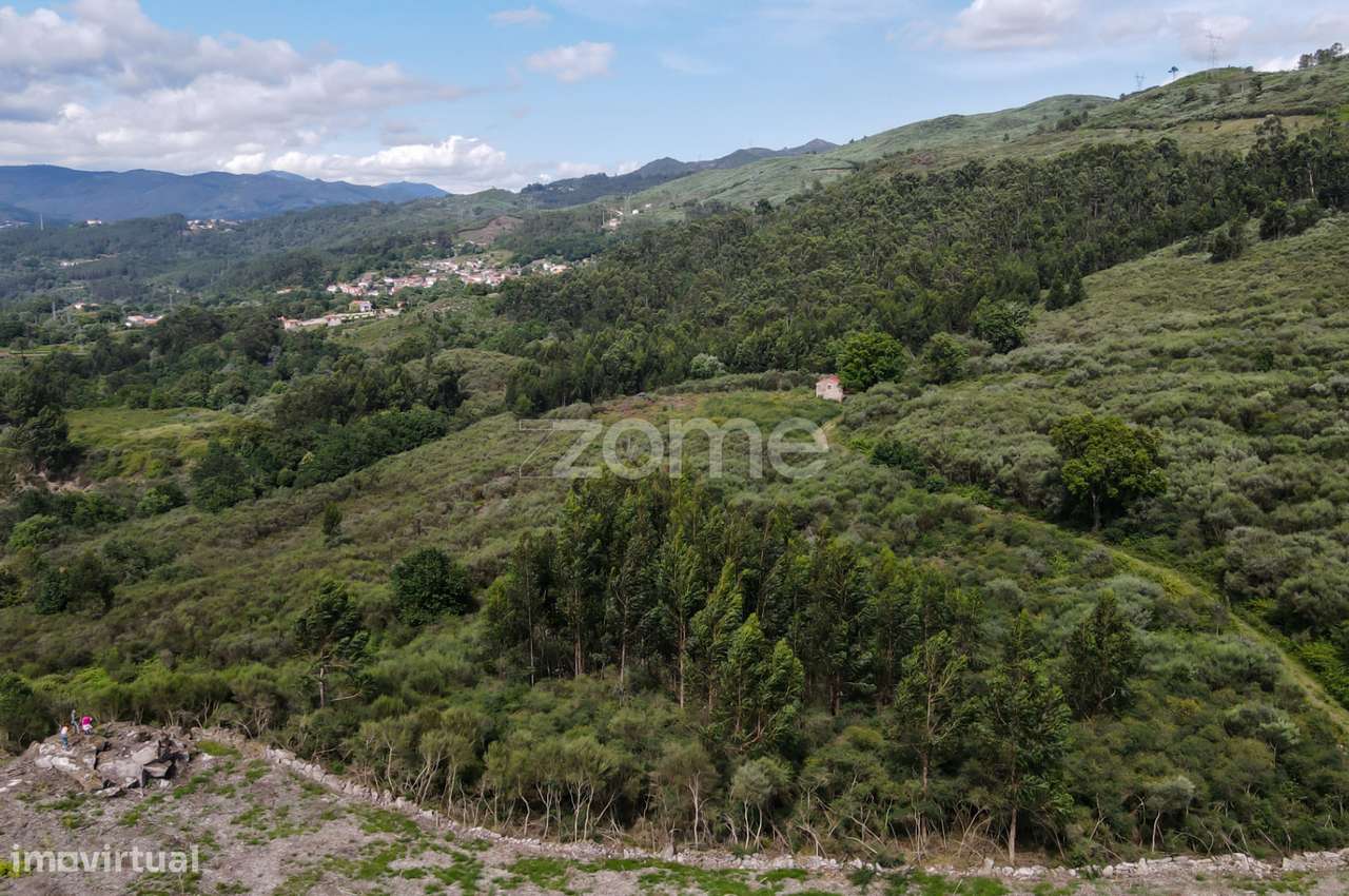 Terreno com 7.7 ha e três ruínas em Britelo, Ponte da Barca - Grande imagem: 5/28