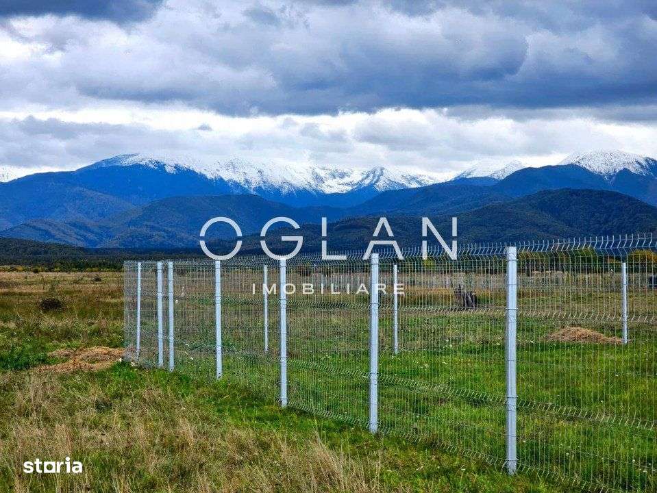 SUPER PRET! Teren 2400 mp Valea Avrigului SIBIU - Imagine principală: 4/10