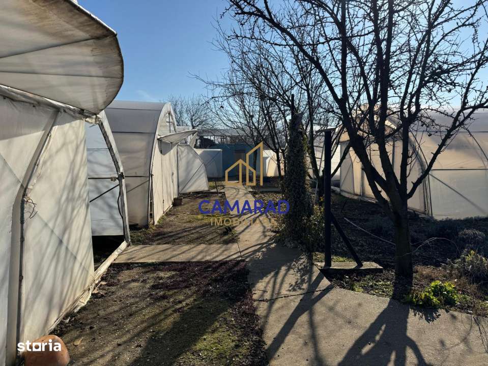 Teren intravilan vanzare - 2.750 mp – Darvari/Tamadalu Mare (judetul-7