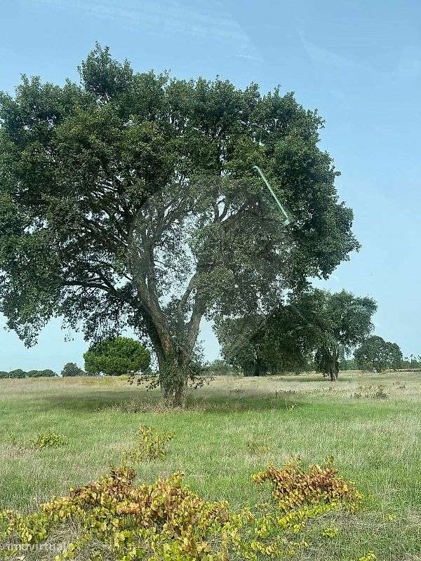 Terreno  para venda-2
