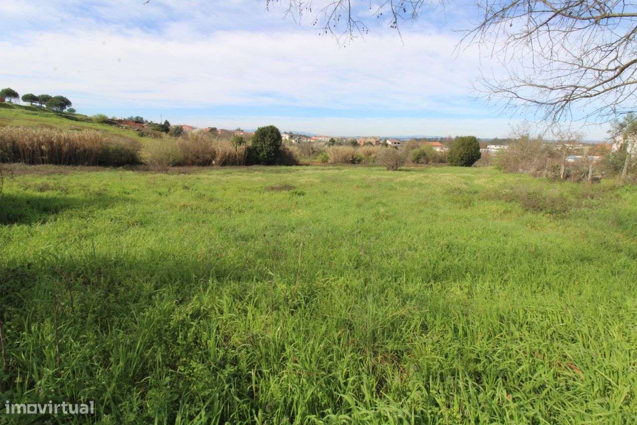 Fantástico Terreno Para Construção - Grande imagem: 4/6