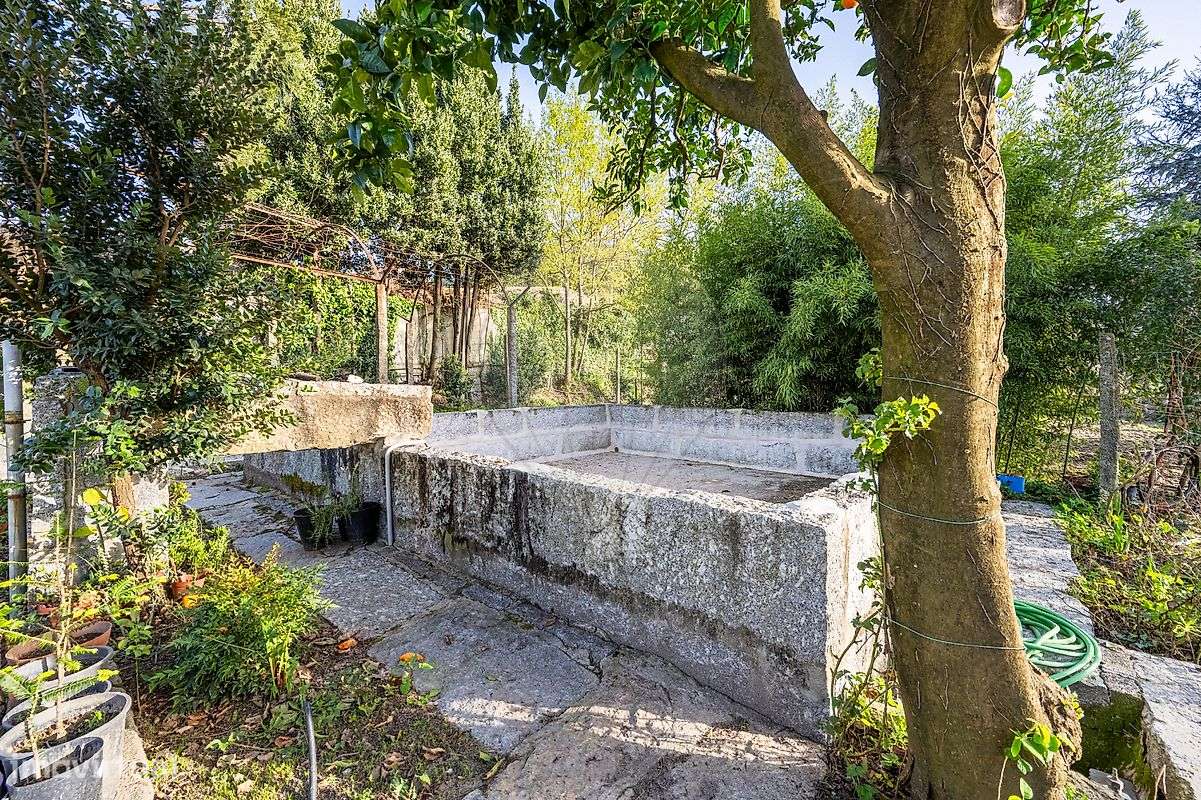 Quinta  para venda-15