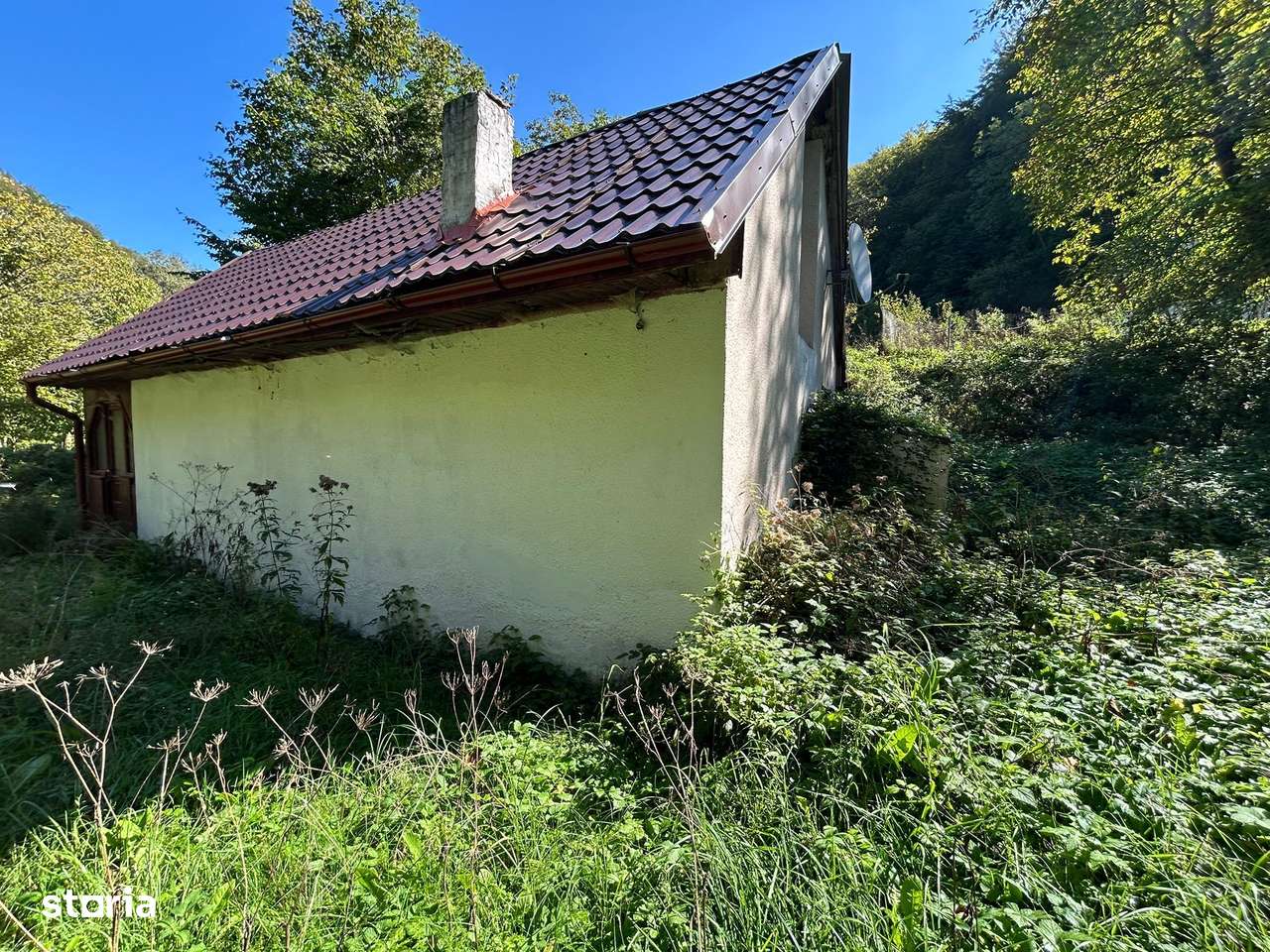 Cabana de vanzare, Valea Manastirii - Ramet-7