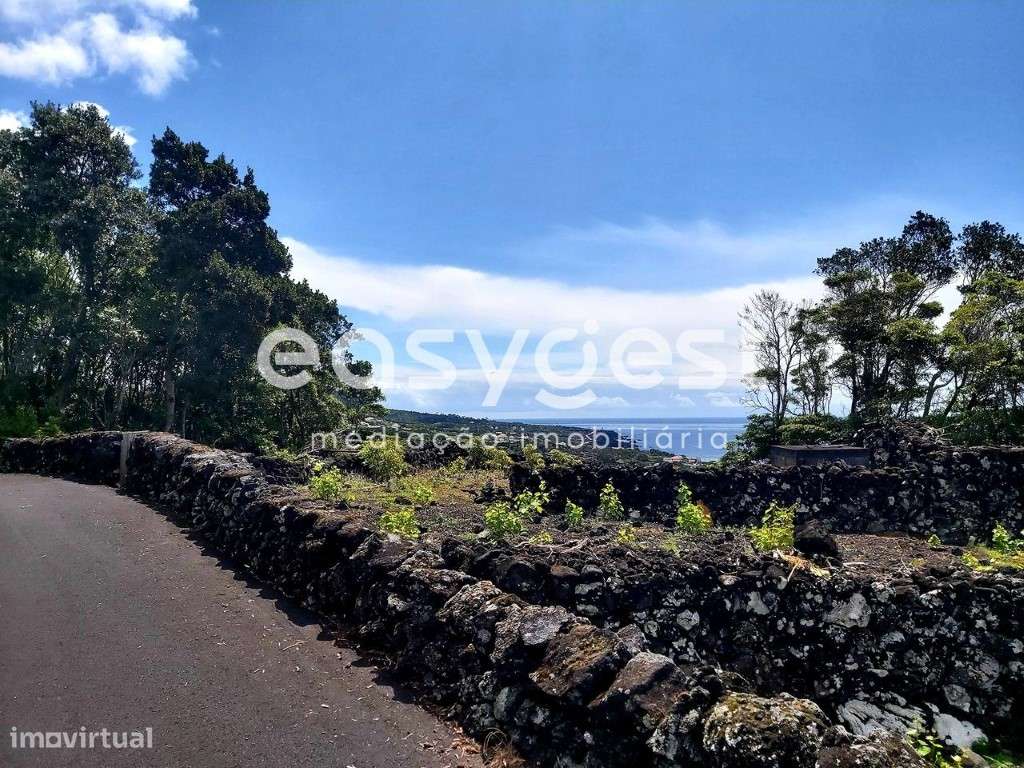 Terreno com vista o mar e montanha, em zona de vinha na ilha do Pico - Grande imagem: 5/16