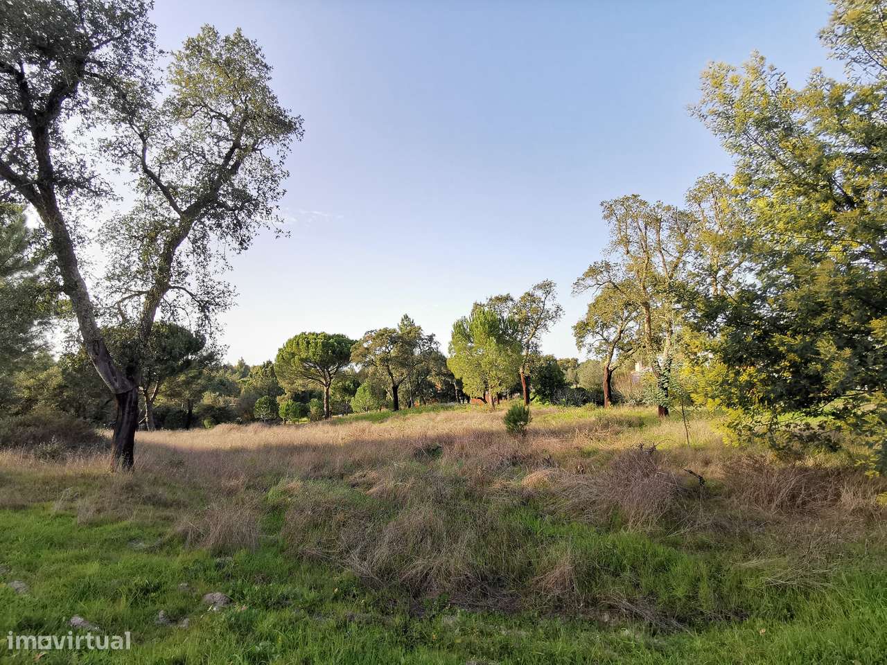 Moradia T2  Lamarosa de Coruche-31