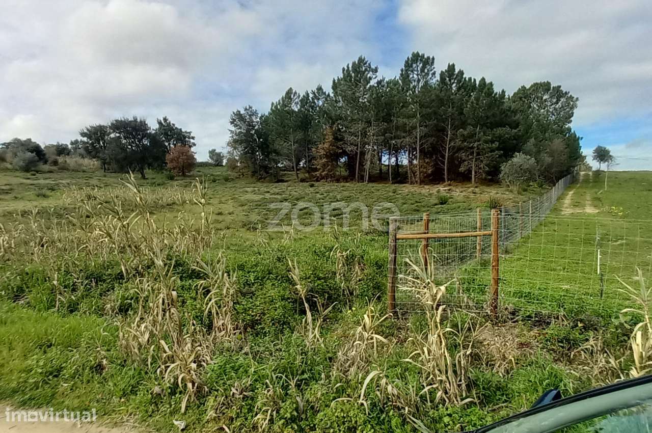 Terreno Rústico - Grande imagem: 3/8
