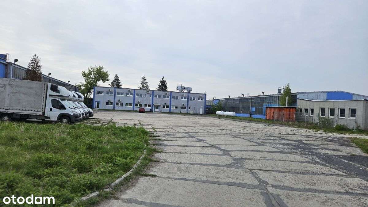 Toplokalizacja. Magazyny, Biuro,Usługi, Handel - Pełny obrazek: 3/9