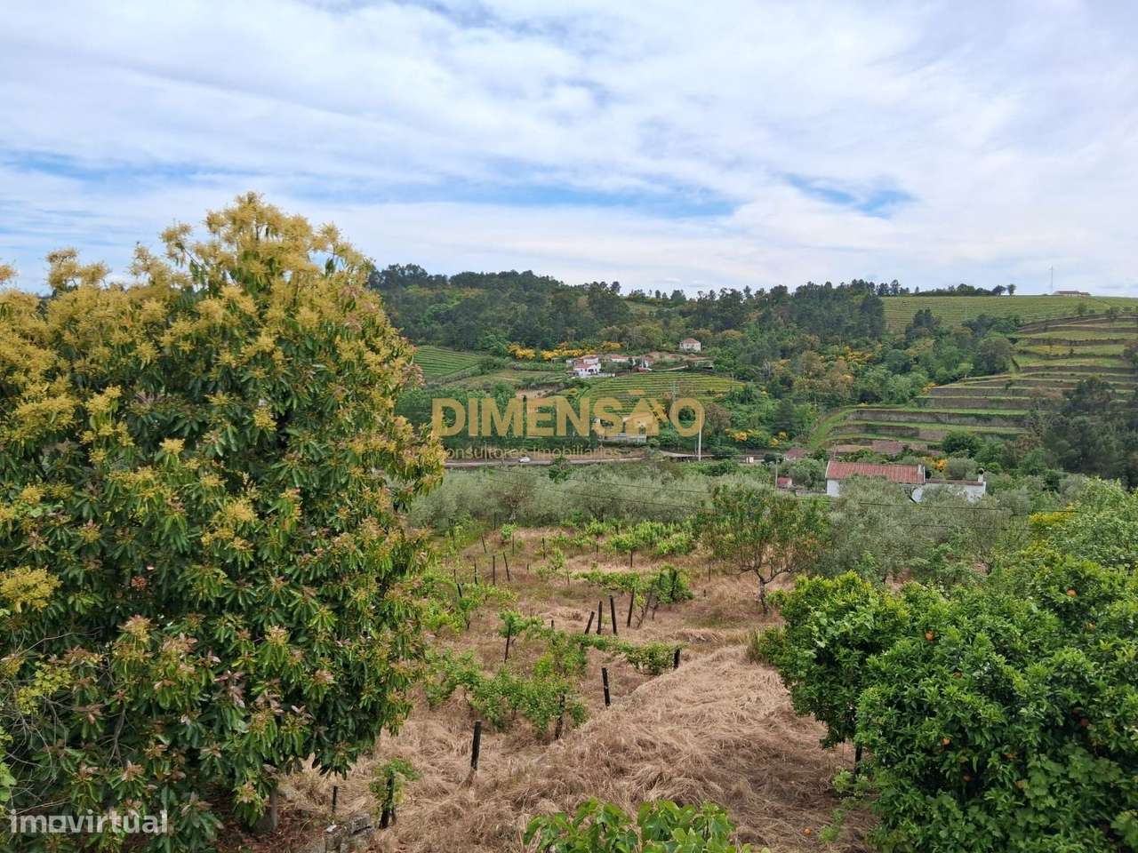 Deslumbrante Quinta V4 com Vistas Privilegiadas no Coração da Régua...-16