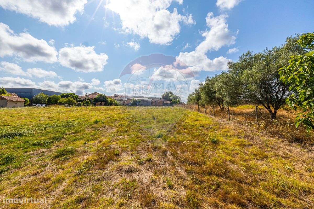 Terreno  para venda - Grande imagem: 5/7