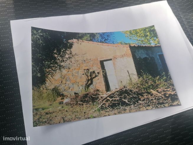 Terreno/Olival  de 11.700 m2 , com Casa para recuperar,  Olival tradic-17