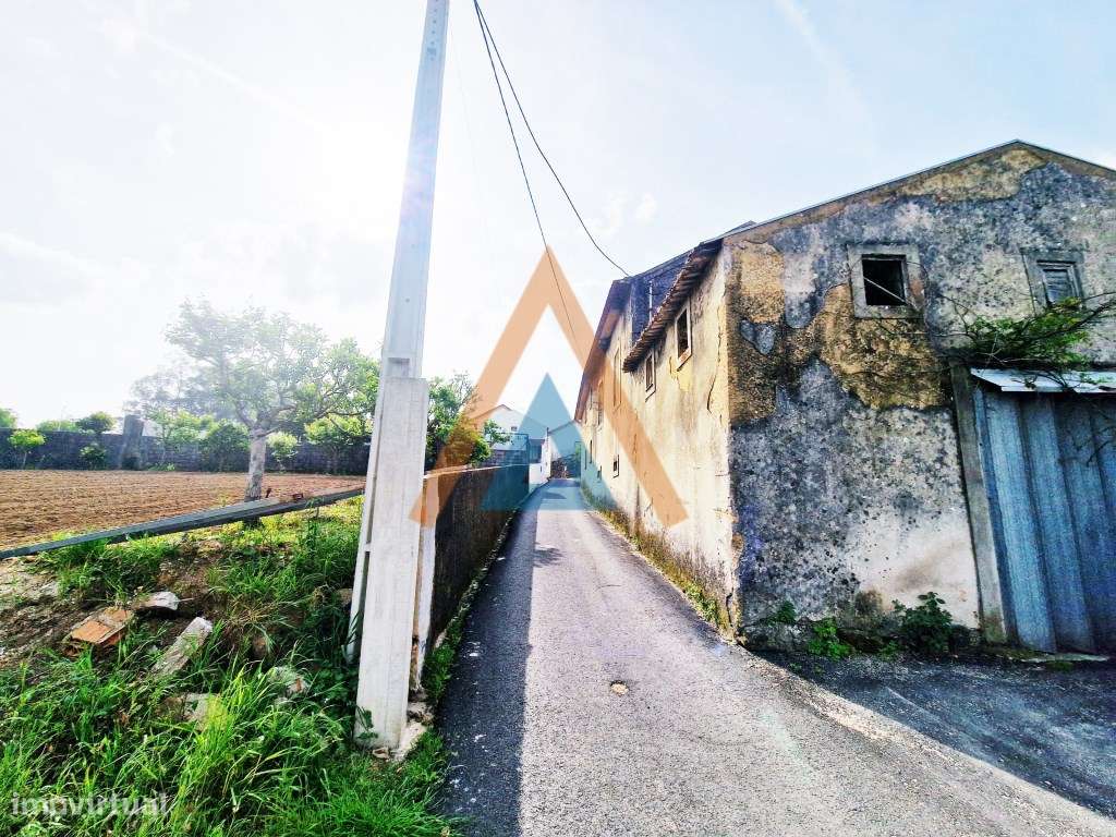 Maravilhosa quinta com casa e terreno-43