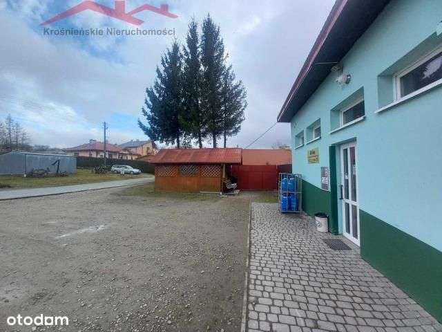 Budynek gm. Dukla z Najemcą! - Pełny obrazek: 5/6