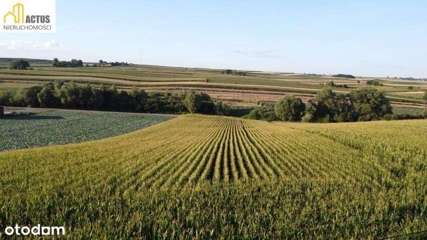 Działka 47 ar Stręgoborzyce-7