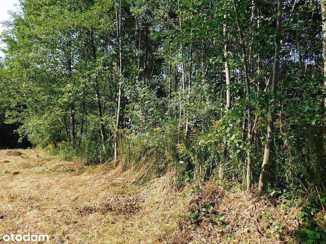 Imielno, działka budowlana - Pełny obrazek: 4/6