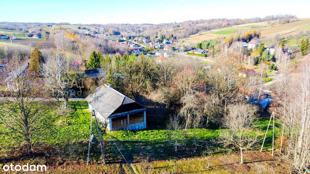 Klimatyczny, drewniany dom wśród drzew-8