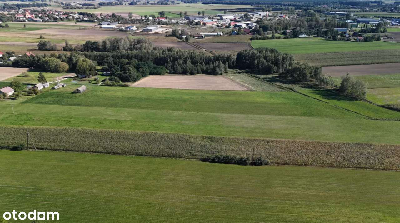 Działka 3000m2; Zambrów; ul. Stokrotki-13