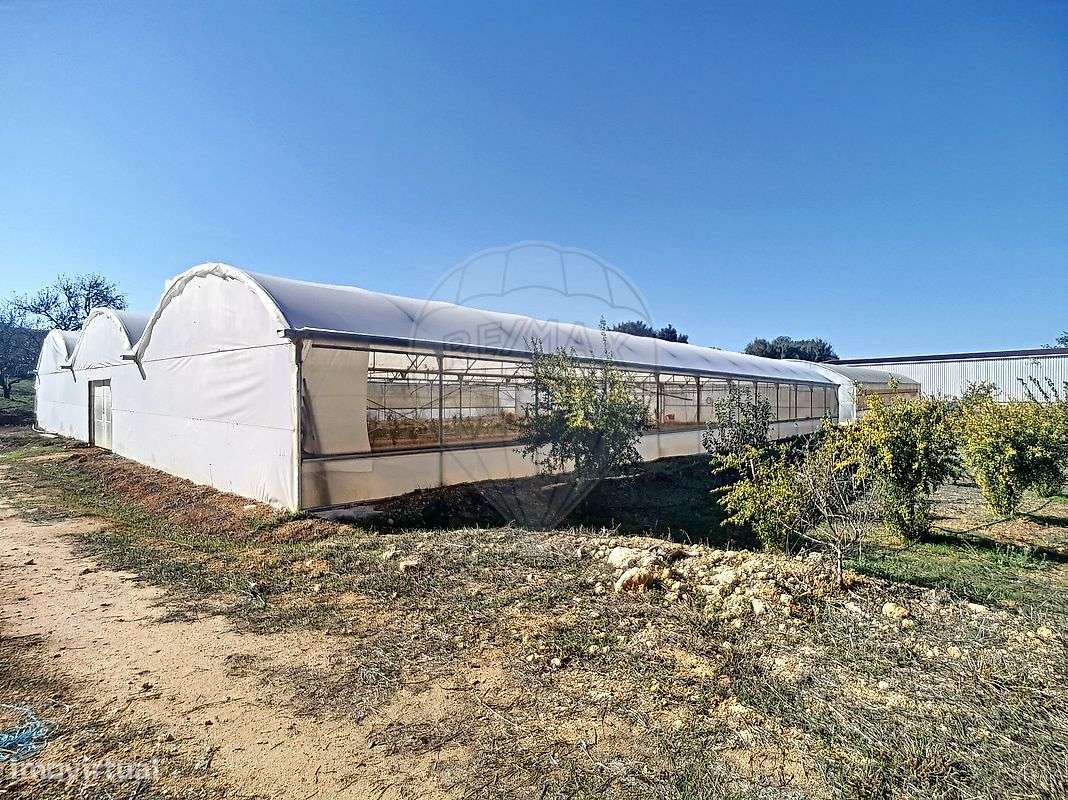 Quinta  para venda-26