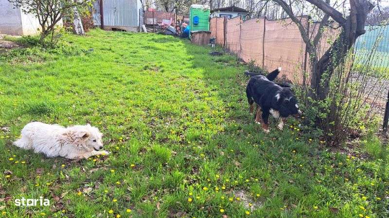 Casa de vacanta de vanzare langa Cauaceu - Imagine principală: 5/8