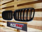 Grelhas Capo BMW X5 + X6 - 4