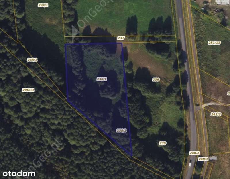 Działka 238/1 w Wielka Nieszawka - Pełny obrazek: 1/2