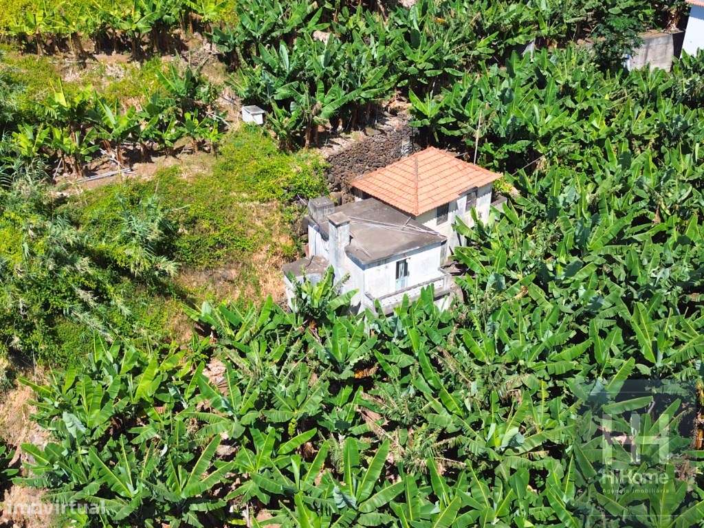Prédio misto na Madalena do Mar | Ponta do Sol. - Grande imagem: 4/30