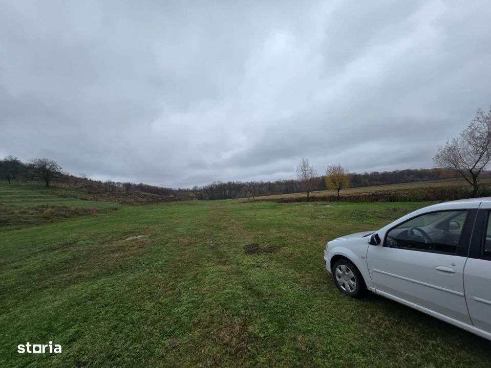 Teren  100.000 mp, Recea-Albota-2