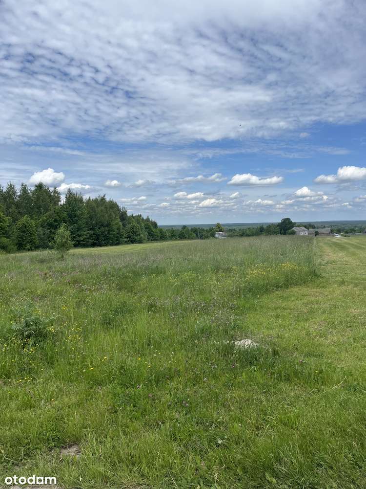 Działka 800m2 na sprzedaż Kapałów - Pełny obrazek: 4/6