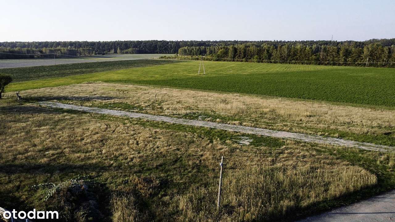 Działka na sprzedaż, Wiączyń Dolny - Pełny obrazek: 5/7