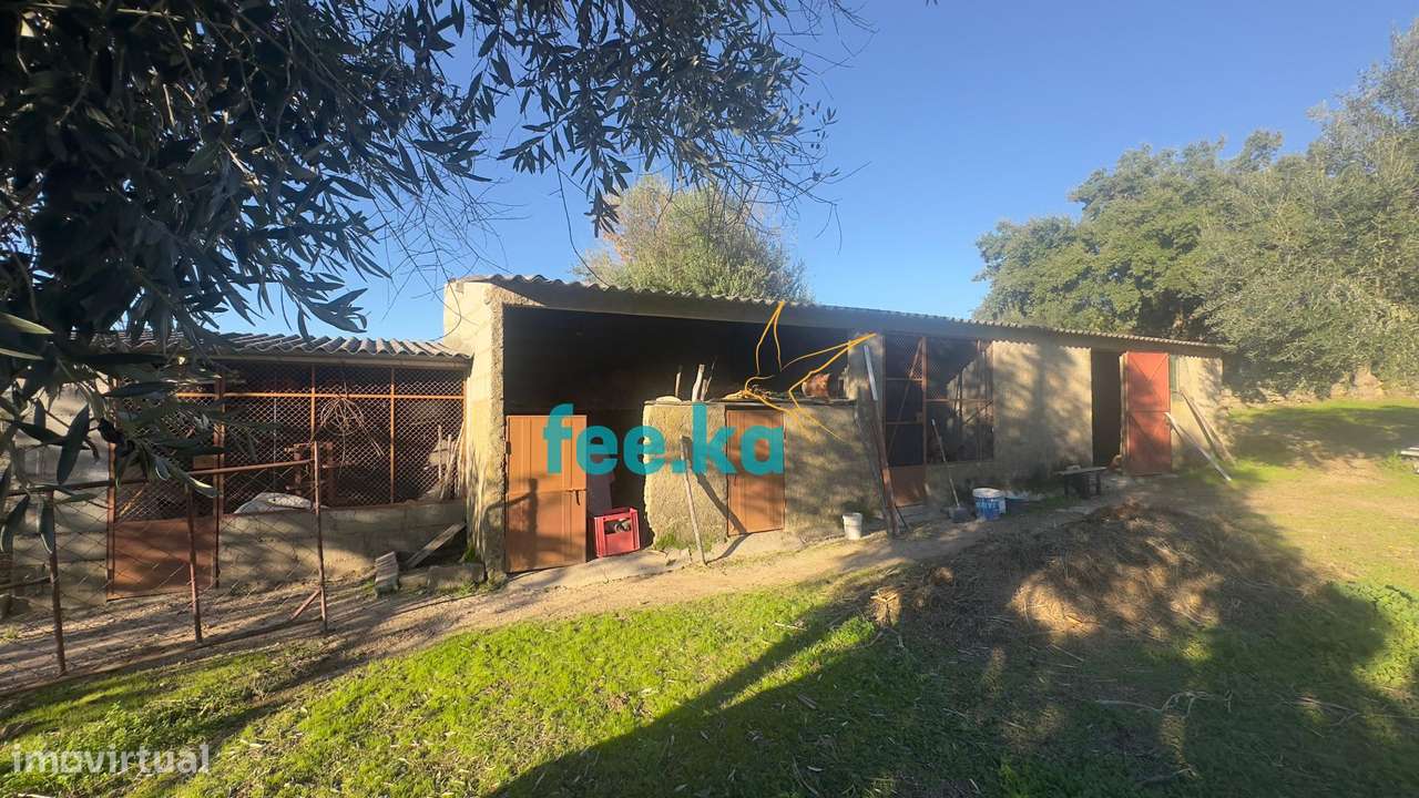 Quinta em Escalos de Baixo-19