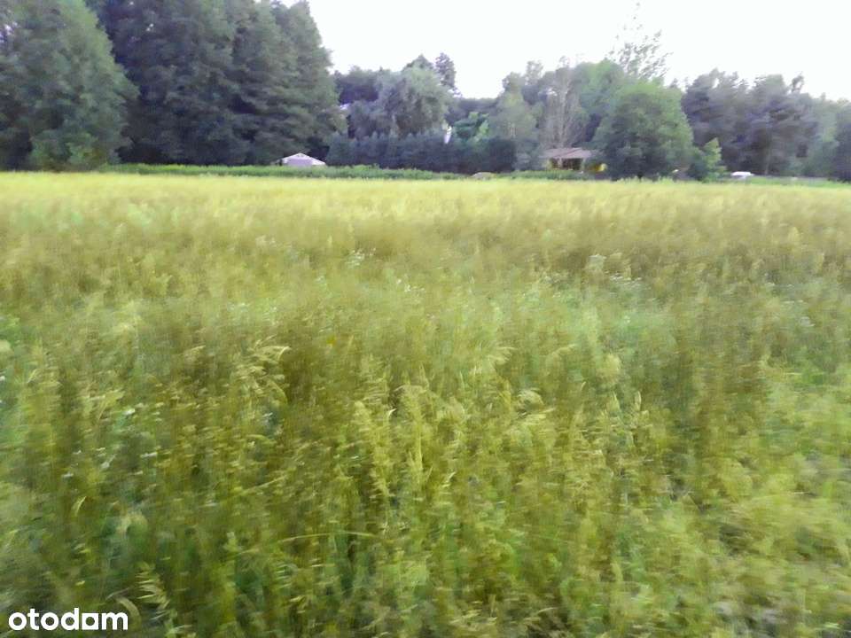 Bezpośrednio - działka 1539 m²,Słubica Dobra, blisko natury i Warszawy - Pełny obrazek: 4/9