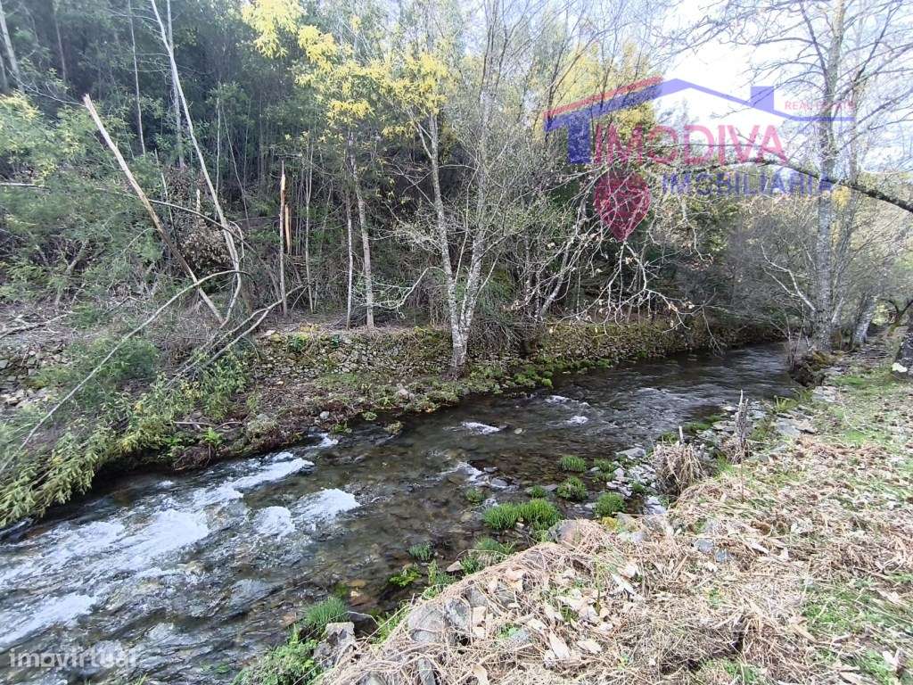Casa de campo T5 com quintal e terreno junto a ribeira, freguesia d... - Grande imagem: 3/42