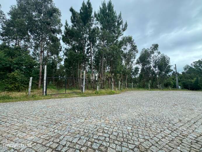 Terreno 7.135 m²- Vila Maior - Grande imagem: 3/5