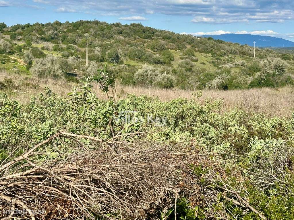 Terreno com 20.500 m² e uma ruína que pode ser aumentada em Bensafr... - Grande imagem: 4/15