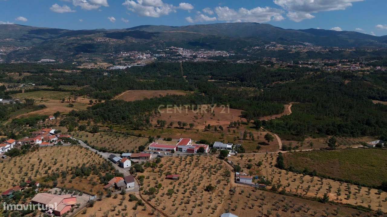 Exclusiva Oportunidade de Investimento:  Residência Geriátrica em Func-39