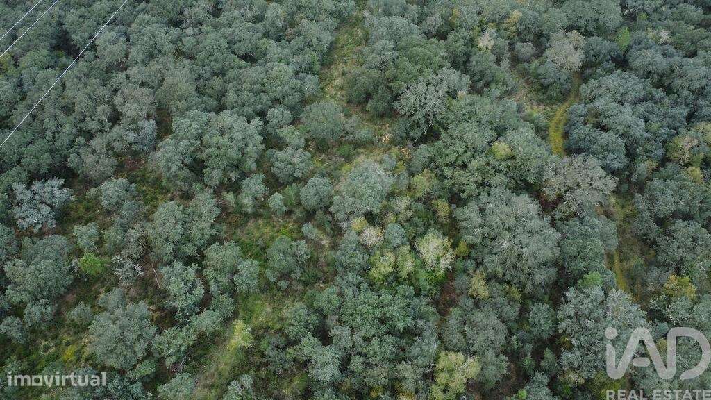 Terreno em Areias e Pias de 1080,00 m2 - Grande imagem: 2/21