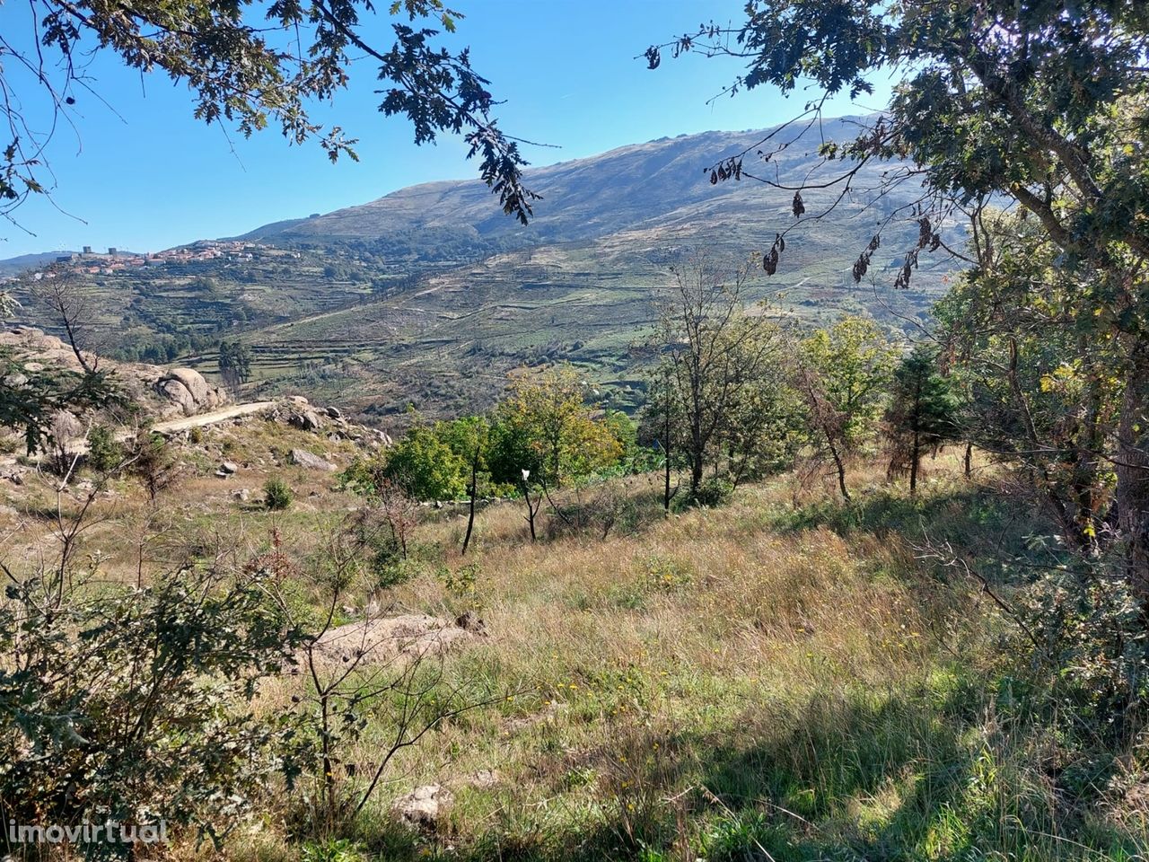 Terreno Rústico  Venda em Figueiró da Serra e Freixo da Serra,Gouveia