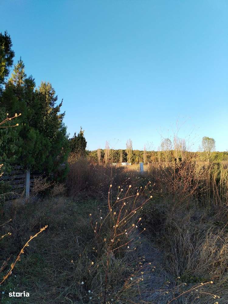 Ciolpani, spre Izvorani - COR, vanzare teren 5000mp. - Imagine principală: 4/14