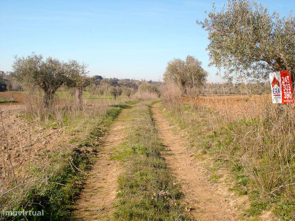 Terreno com 11920 m2 - Grande imagem: 2/18