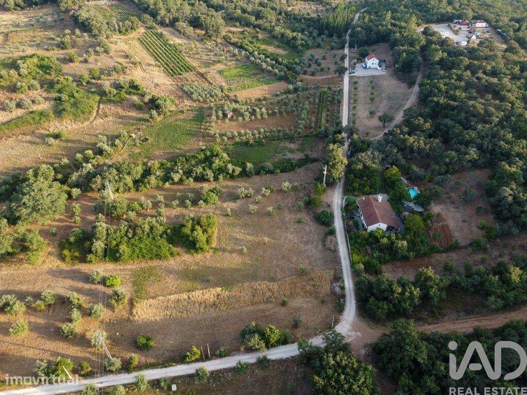 Terreno em Areias e Pias de 4160,00 m2 - Grande imagem: 5/30