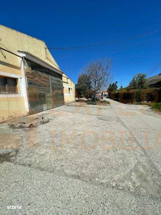 Hala situata in Ovidiu - Imagine principală: 5/19