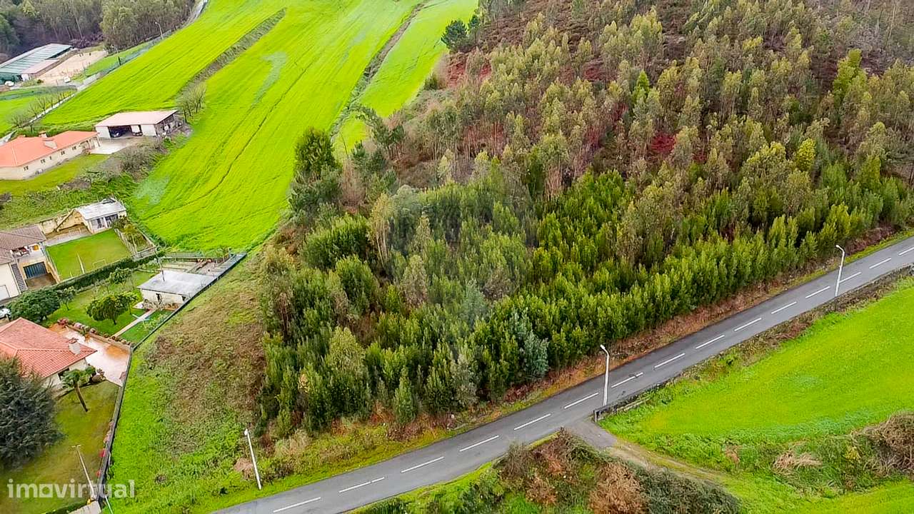 Terreno  para venda - Grande imagem: 4/13