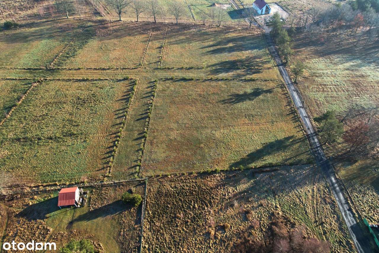 Smołdziński Las, działka - Pełny obrazek: 5/6