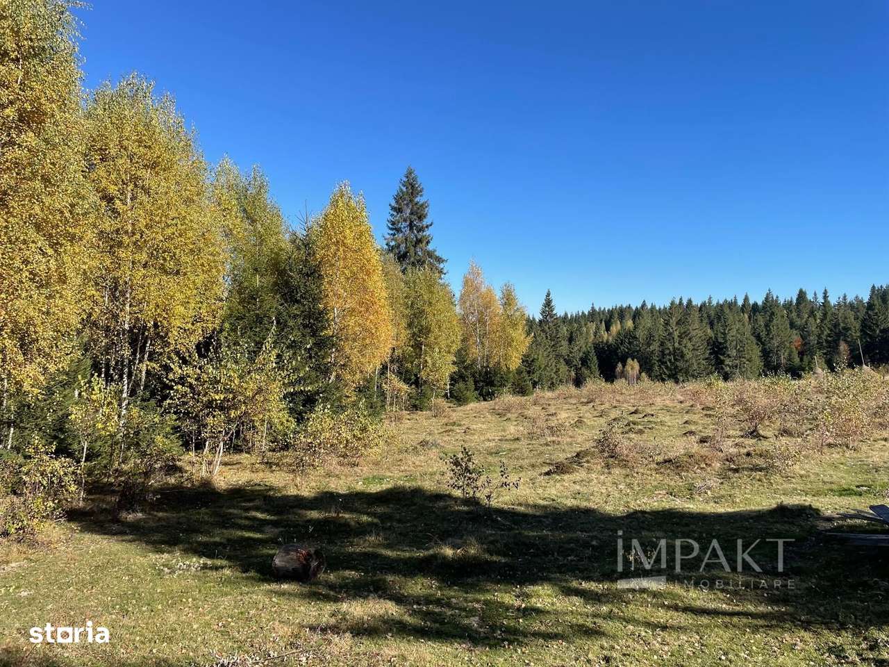 Teren intravilan de 2001 mp în Calatele Padure, comuna Calatele! - Imagine principală: 4/6