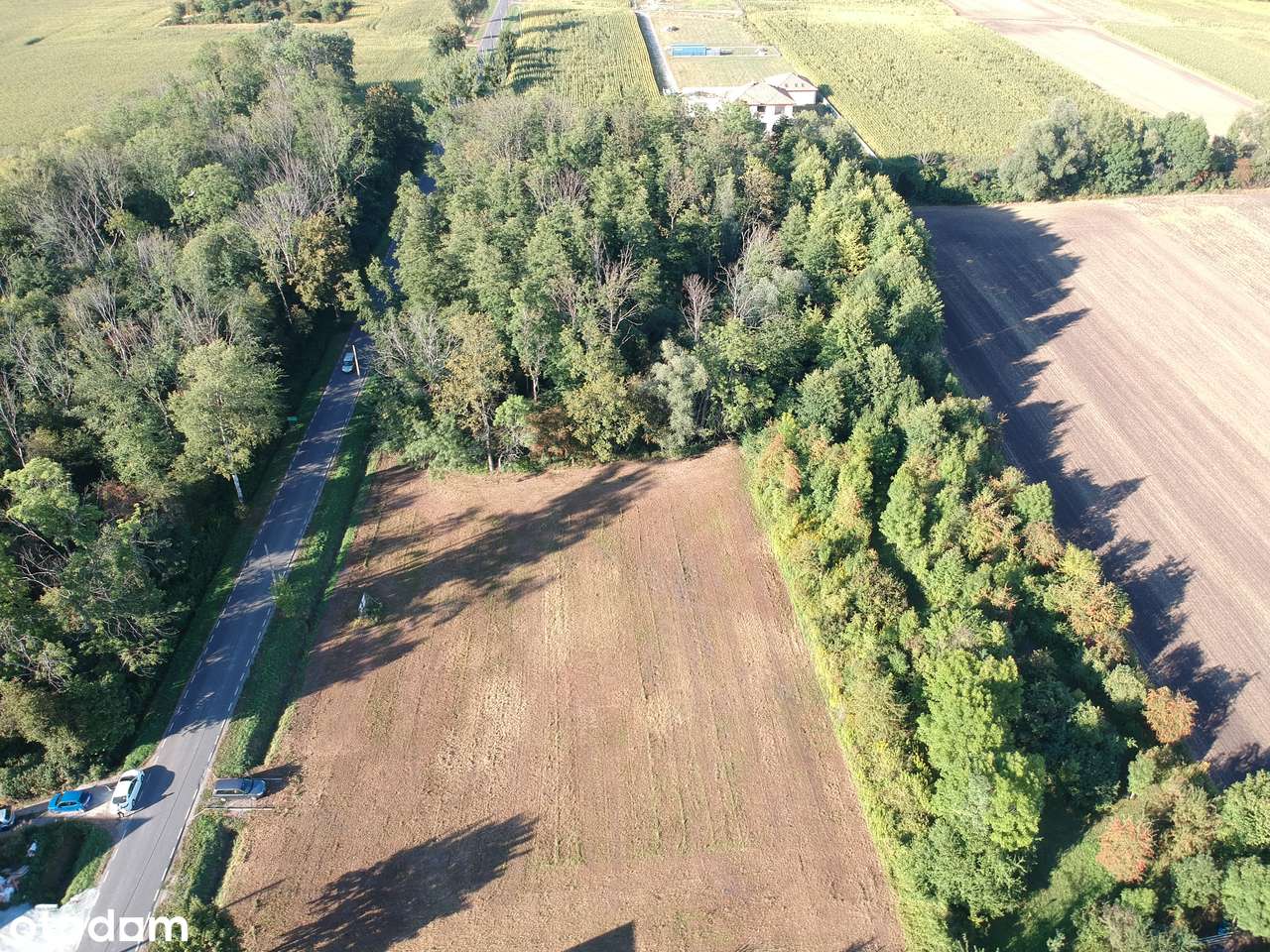 Cudowna działka budowalana 23a + prywatny las 60a | gmina Żórawina - Pełny obrazek: 5/6