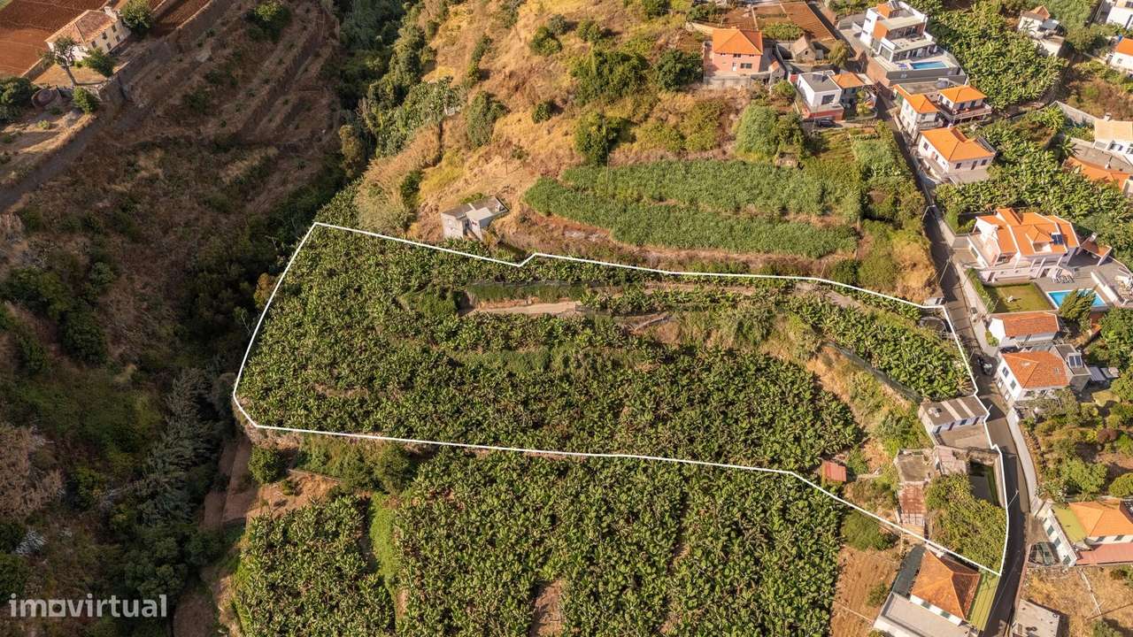 Terreno com 7944m2 - Ponta do Sol - Grande imagem: 4/19