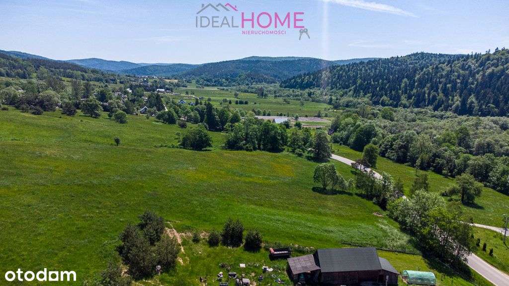 Działka Kotań z możliwością zabudowy - ostatnia - Pełny obrazek: 4/14